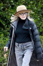 DIANE KEATON Out with Her Dog in Brentwood 04/02/2022