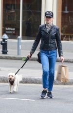 JULIANNA MARGUILES Out with Her Dog in New York 03/31/2022