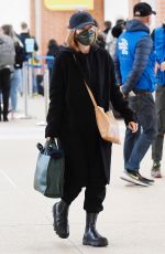 JULIANNE MOORE Arrives at Marco Polo International Airport in Venice 04/19/2022
