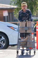 JULIETTE LEWIS Shopping for Groceries at Erewhon Market in Los Angeles 04/26/2022