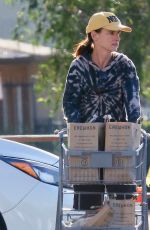 JULIETTE LEWIS Shopping for Groceries at Erewhon Market in Los Angeles 04/26/2022
