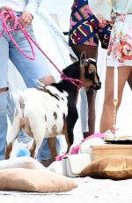 LARSA PIPPEN Hosts a Beach Birthday Party for Her Dog King in Miami 04/21/2022