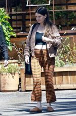 LAUREN PARSEKIAN and Aaron Paul Out with Their Newborn Baby in Los Feliz 04/06/202