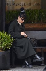 LILY ALLEN Out Shopping in New York 03/31/2022
