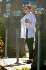 LUCY HALE Feeds Her Parking Meter in Studio City 04/09/2022