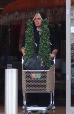 MALIN ANDERSSON Out Shopping at Homesense in Bedford 04/14/2022