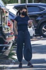 MILA KUNIS Out and About in Los Angeles 04/26/2022