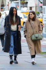 NAOMIE HARRIS Out with a Friend at Central Park in New York 04/21/2022