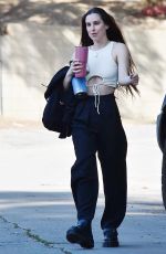 SCOUT WILLIS Out with Her Dog in Los Angeles 04/10/2022