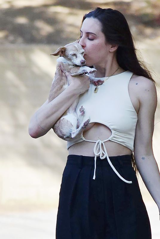 SCOUT WILLIS Out with Her Dog in Los Angeles 04/10/2022