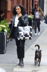 TESSA THOMPSON Out with Her Dog in New York 04/26/2022