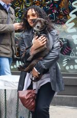 TESSA THOMPSON Out with Her Dog in New York 04/26/2022