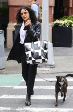 TESSA THOMPSON Out with Her Dog in New York 04/26/2022