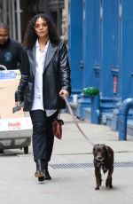 TESSA THOMPSON Out with Her Dog in New York 04/26/2022