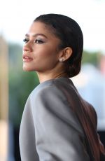 ZENDAYA at Euphoria FYC Event in Los Angeles 04/20/2022