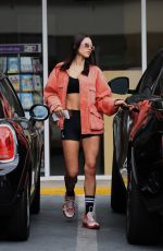 AMELIA HAMLIN at a Fedex Office in West Hollywood 05/20/2022