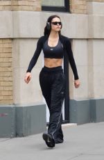 AMELIA HAMLIN Leaves a Gym in New York 05/11/2022