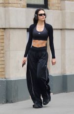 AMELIA HAMLIN Leaves a Gym in New York 05/11/2022