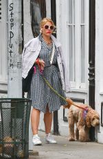 BUSY PHILIPPS Out with Her Dog in New York 05/29/2022