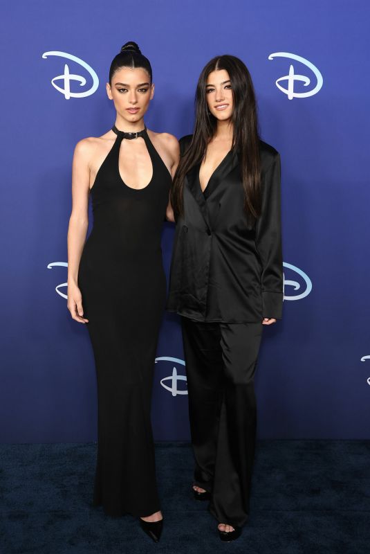 CHARLI and DIXIE D