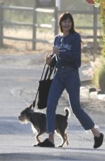 DAKOTA JOHNSON Out with Her Dog in Malibu 05/29/2022