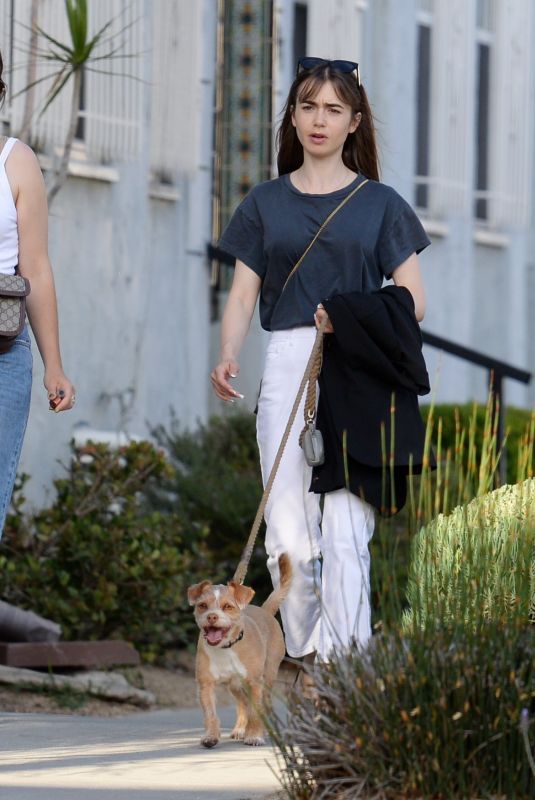 LILY COLLINS Out with Her Dog in Los Angeles 05/25/2022