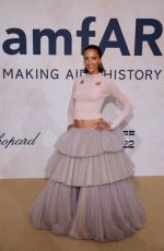 NOEMIE LENOIR at Amfar Gala in Cannes 05/26/2022