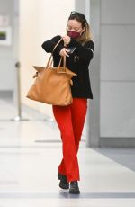 OLIVIA WILDE at JFK Airport in New York 05/19/2022