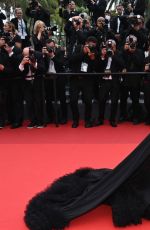 SARA SAMPAIO at Forever Young Premiere at 75th Annual Cannes Film Festival 05/22/2022