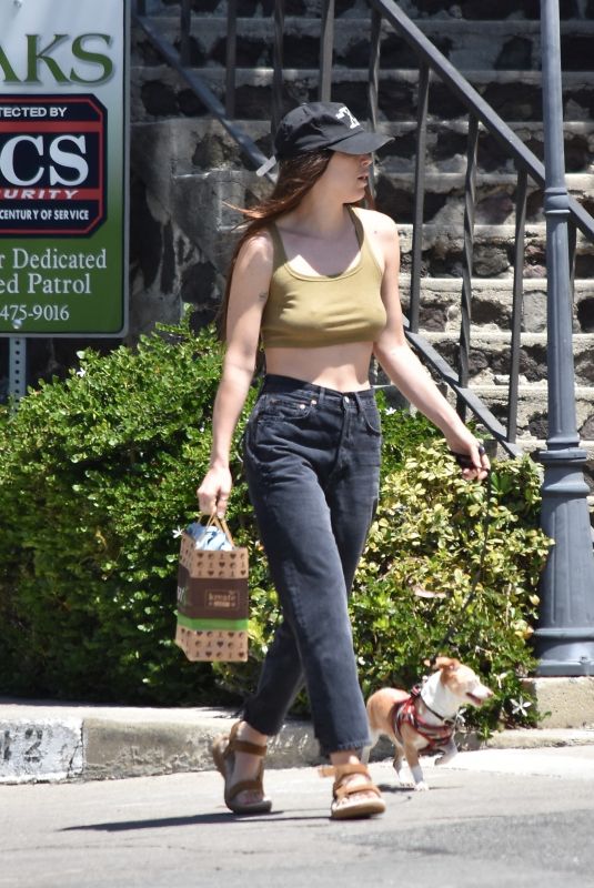 SCOUT WILLIS Out with Her Dog in Los Angeles 05/06/2022