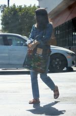 ALISON BRIE in Double Denim Shopping at Gelson