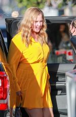 AMY SCHUMER Arrives Only Murders in the Building Special Screening in West Hollywood 06/27/2022
