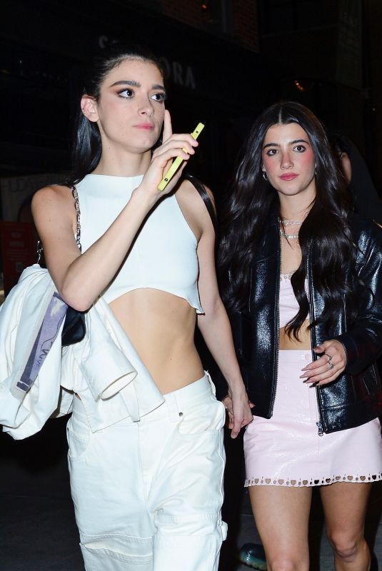 CHARLI and DIXIE D
