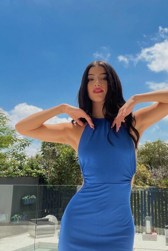 CHARLI D