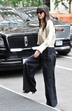 DAKOTA JOHNSON Arrives at Her Hotel in New York 06/14/2022