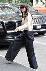 DAKOTA JOHNSON Arrives at Her Hotel in New York 06/14/2022