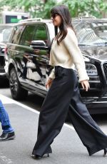 DAKOTA JOHNSON Arrives at Her Hotel in New York 06/14/2022
