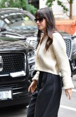 DAKOTA JOHNSON Arrives at Her Hotel in New York 06/14/2022