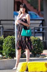 DAKOTA JOHNSON at a Photoshoot at Sunset Plaza in West Hollywood 06/17/2022