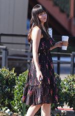 DAKOTA JOHNSON at a Photoshoot at Sunset Plaza in West Hollywood 06/17/2022
