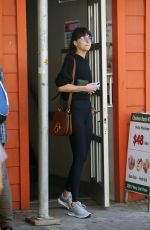 DAKOTA JOHNSON Out and About in New York 06/06/2022
