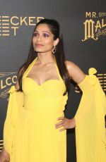 FREIDA PINTO at Mr. Malcolm