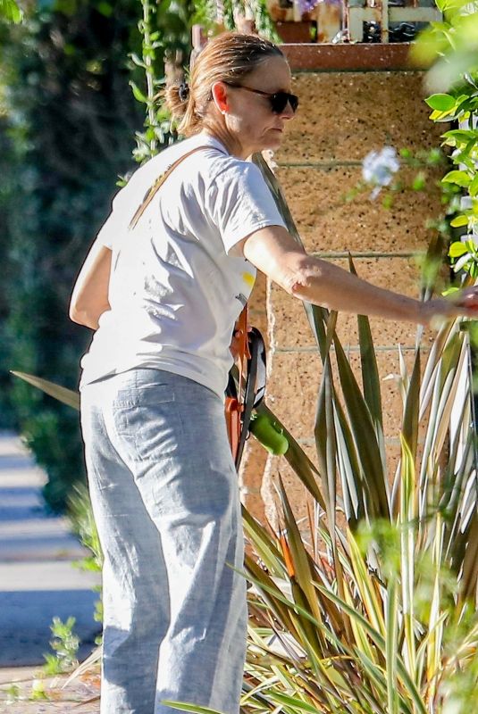 JODIE FOSTER Out with Her Dog in Los Angeles 06/20/2022
