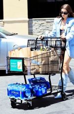 JULIA FOX Out Shopping in Los Angeles 05/15/2022