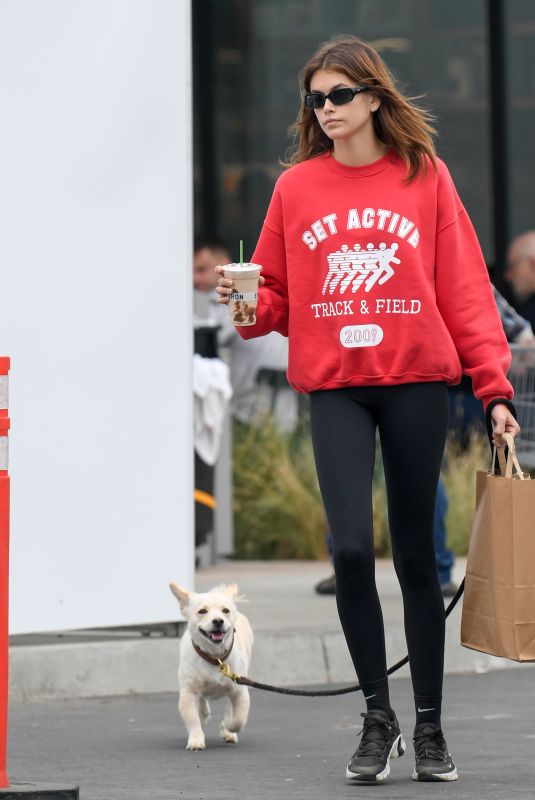 KAIA GERBER Out Hiking with Her Dog Milo in Los Angeles 06/06/2022
