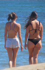 KENDALL JENNER in Bikini Top at a Beach in Malibu 06/21/2022