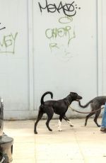 LAURA BAILEY Out with Her Dogs in London 06/08/2022