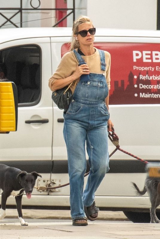 LAURA BAILEY Out with Her Dogs in London 06/08/2022