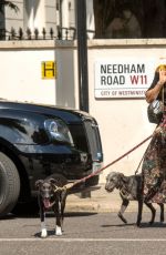 LAURA BAILEY Out with Her Dogs in London 06/15/2022