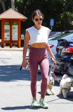 LUCY HALE Out with Her Dogs in Los Angeles 06/17/2022